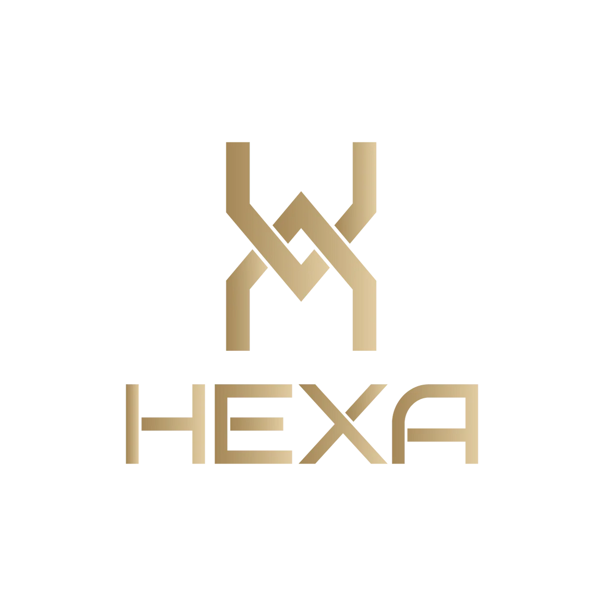 HEXA電子鎖